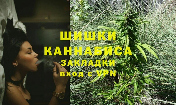 ПСИЛОЦИБИНОВЫЕ ГРИБЫ Абинск