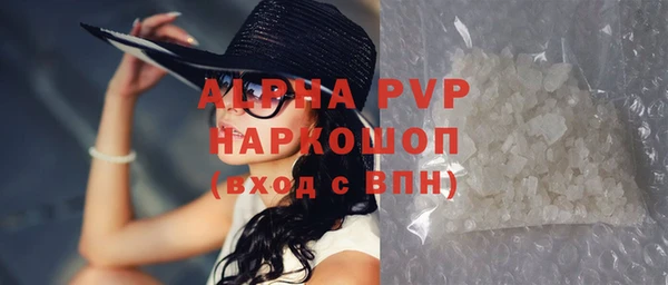 стаф Заводоуковск