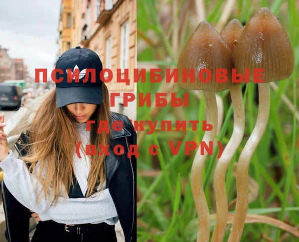 дмт Алексеевка