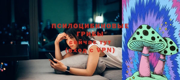 не бодяженный Карпинск