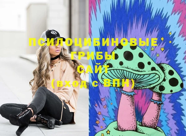 ешки Алзамай