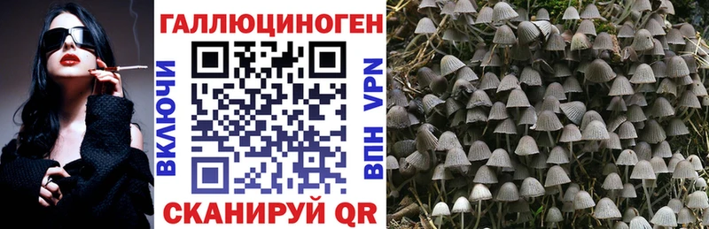 Галлюциногенные грибы Cubensis Лысьва